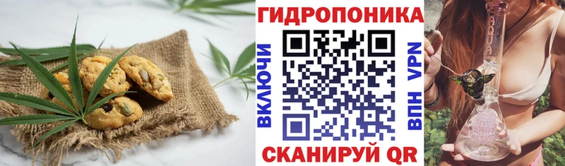 Canna-Cookies марихуана  kraken маркетплейс  Приморско-Ахтарск 