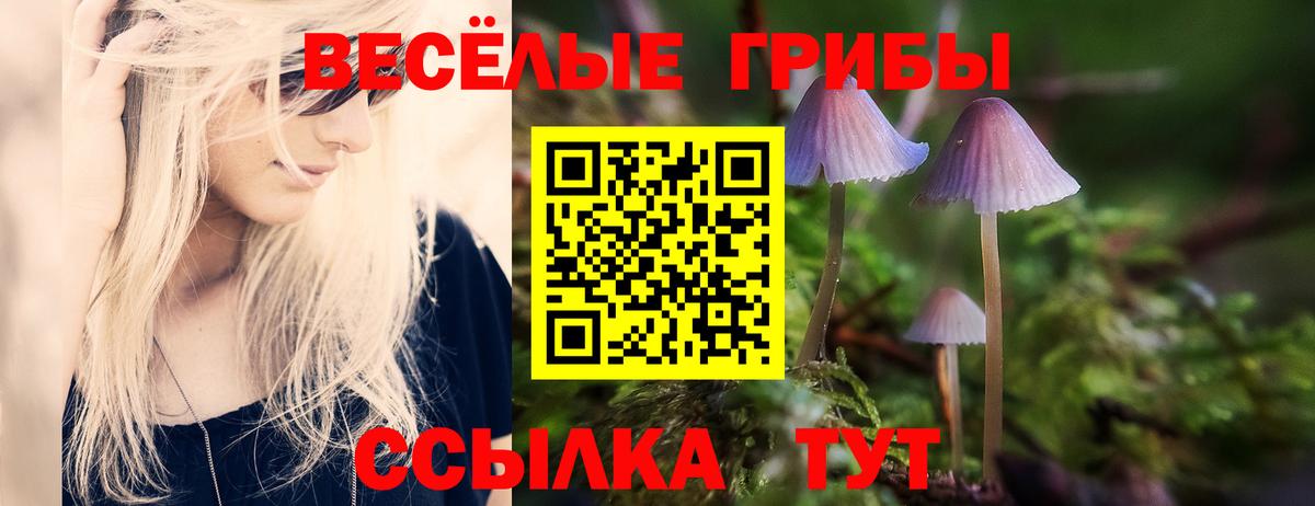 Приморско-Ахтарск  Галлюциногенные грибы ЛСД  Вход с VPN 