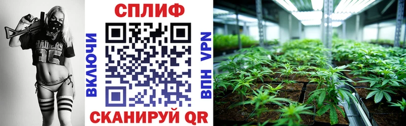 ссылка на мегу как войти  продажа наркотиков  Приморско-Ахтарск  Бошки марихуана ГИДРОПОН 
